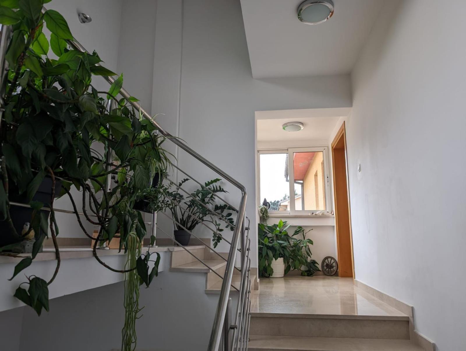 Vesna Rooms Crikvenica Exterior photo